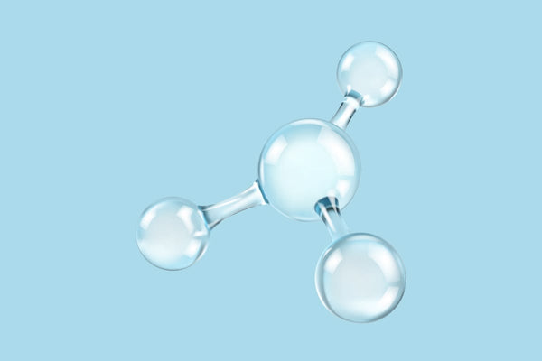 Amino Acids