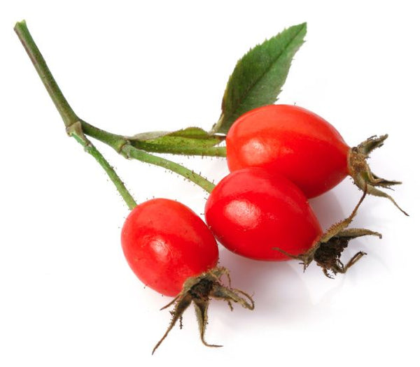 Rose Hip